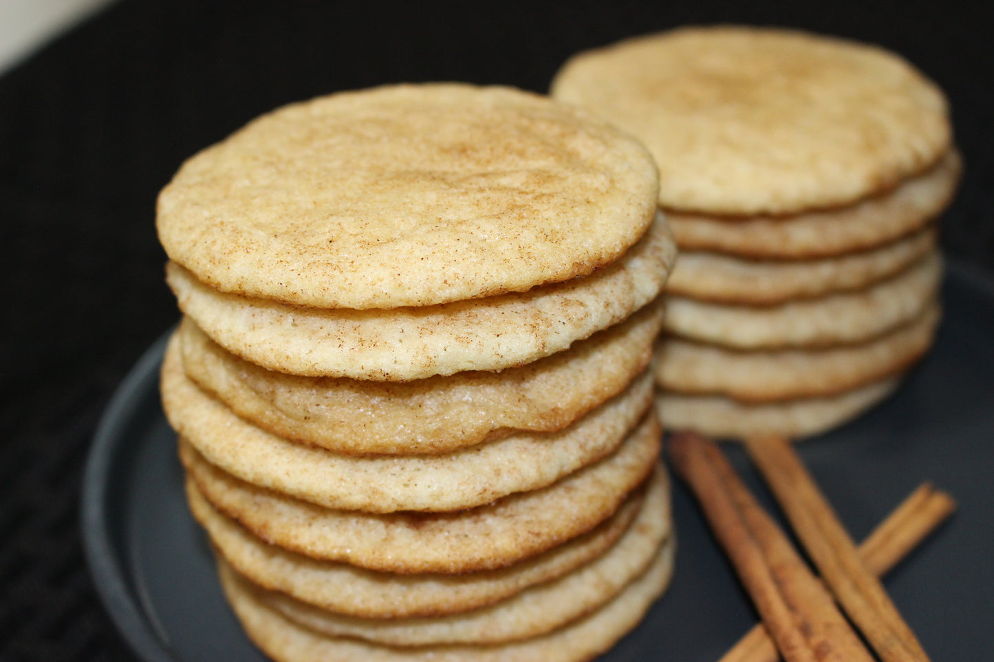 Snickerdoodle Discs - 1 dozen