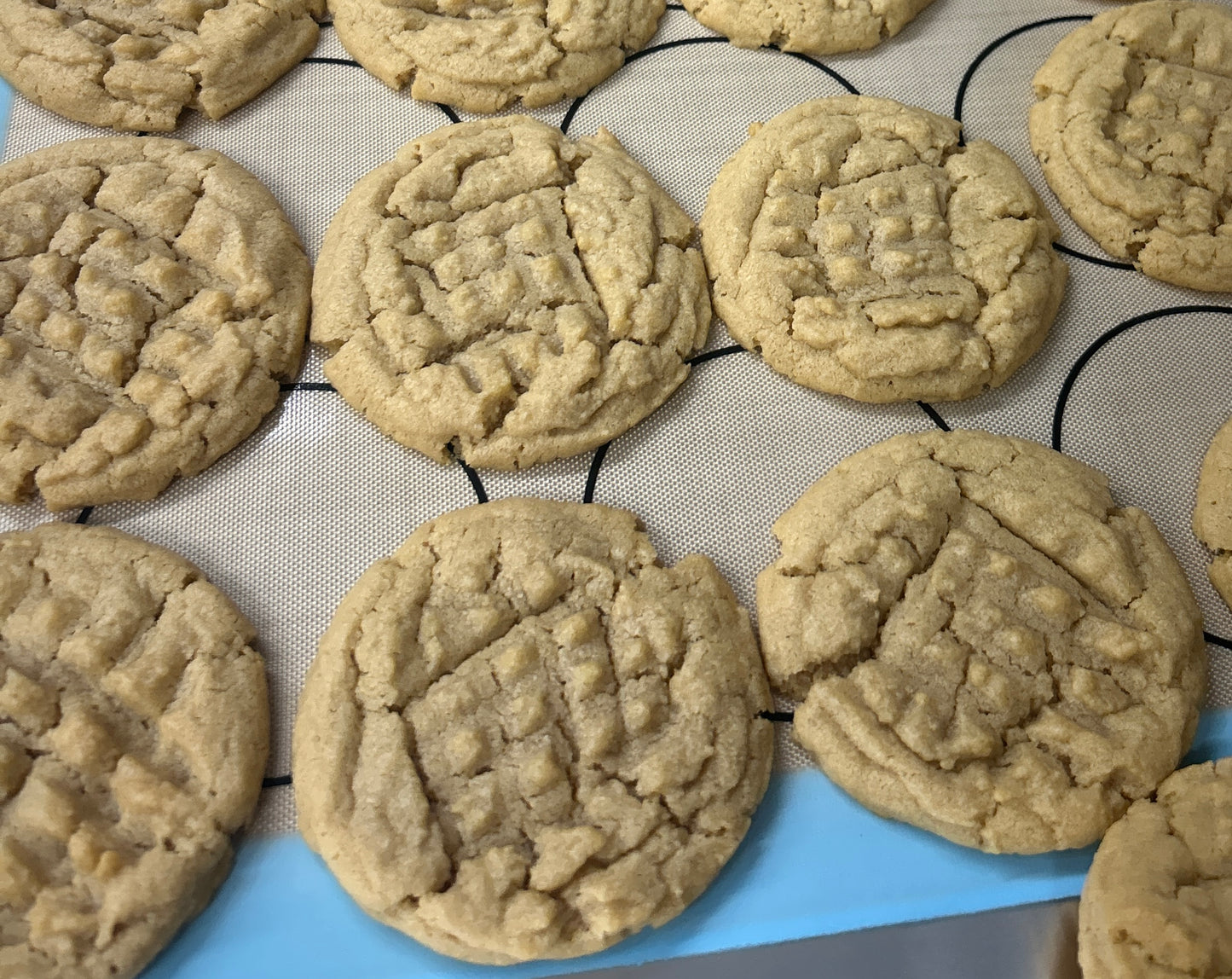 P-nut Butter Cookie Discs - 1 dozen